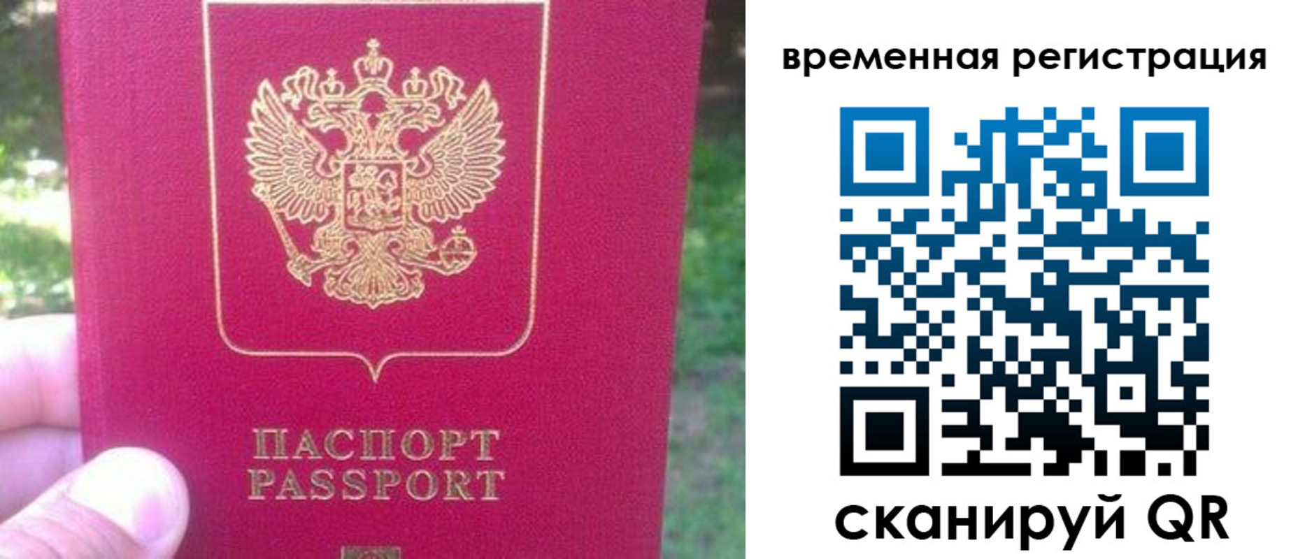 временная регистрация для школы в Зеленоградске